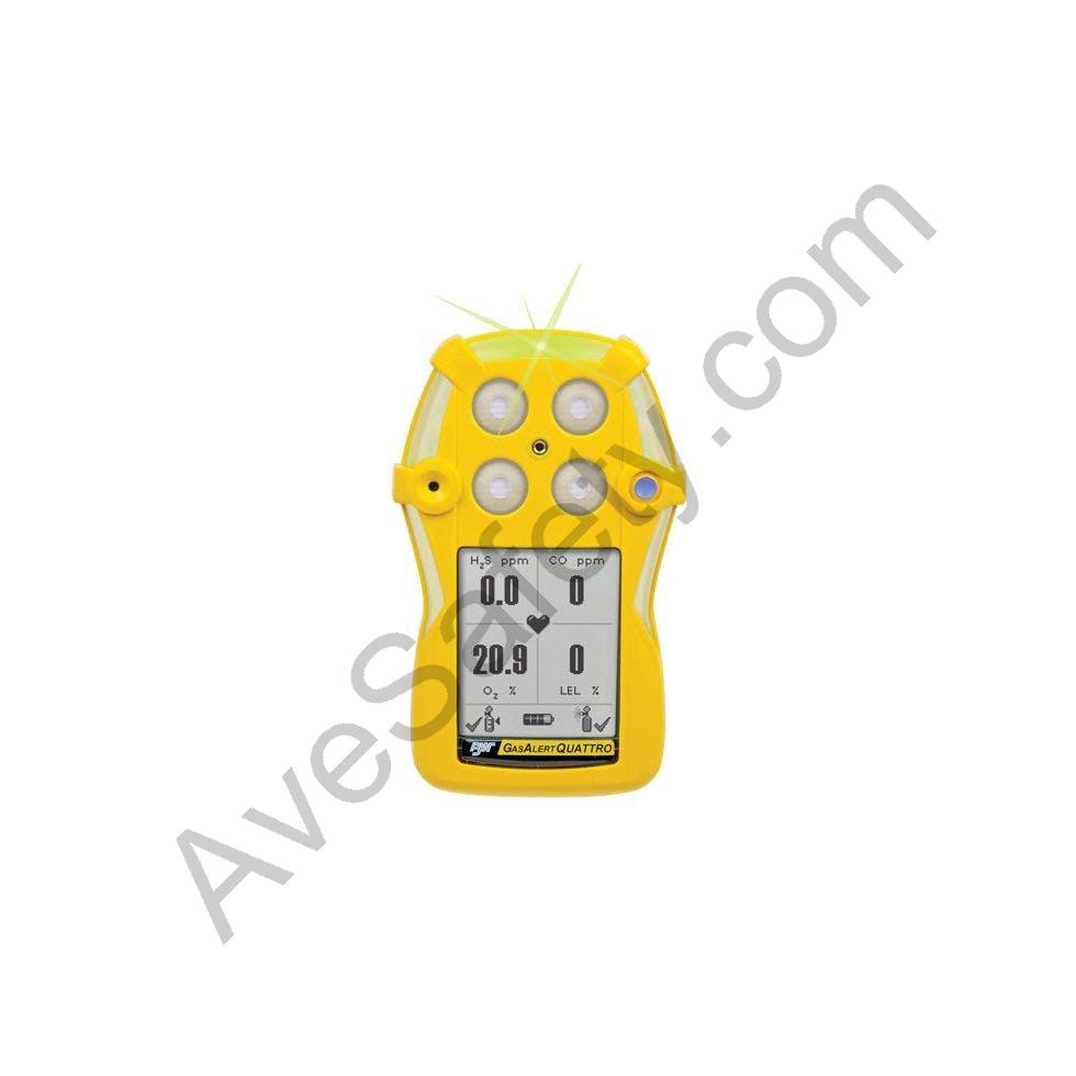 BW GasAlert Quattro LEL(F)O2 H2S CO Gas Detector | Multi Gas Detector