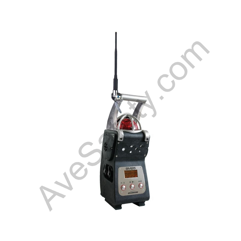 Teledyne Oldham BM25  (LEL/O2/H2S/CO) Pumped Transportable Gas Detector | Area Gas Detectors